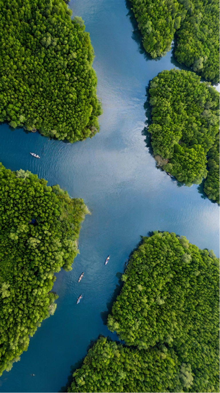Aerial view of nature — Bayin's global reach