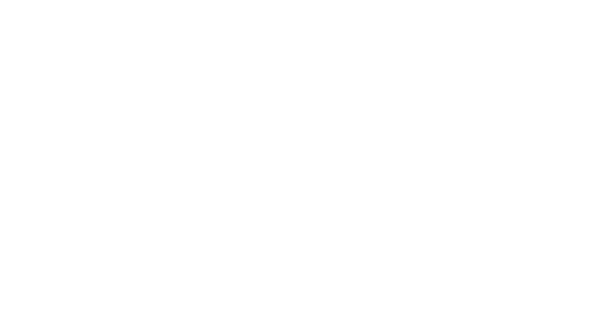 SACE LADY